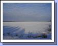 _timmins_2005_014.jpg